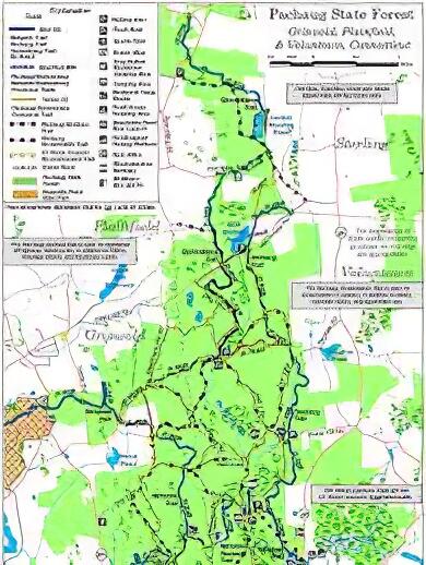 Pachaug State Forest