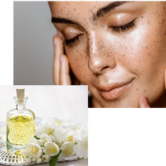 Organic Oil of Jasmine