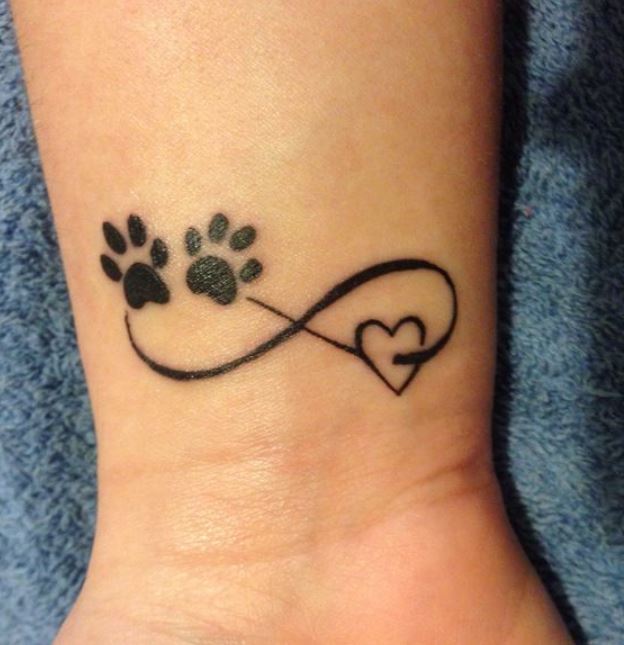vet tech issues with tattoosTikTok Search
