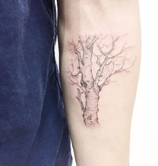 My new tattoo  Birch tree branches  Erin Duffey  Flickr