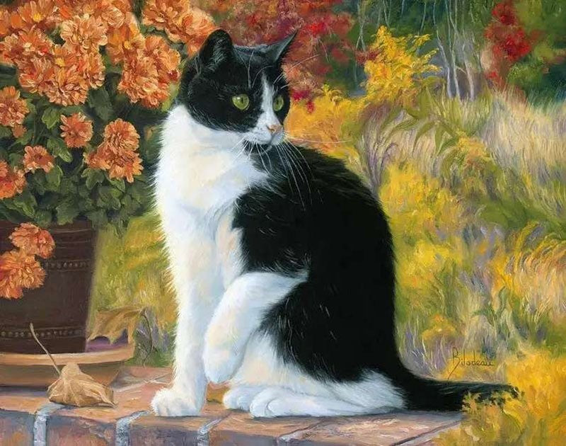 Black and White Cat – Paint By Numbers