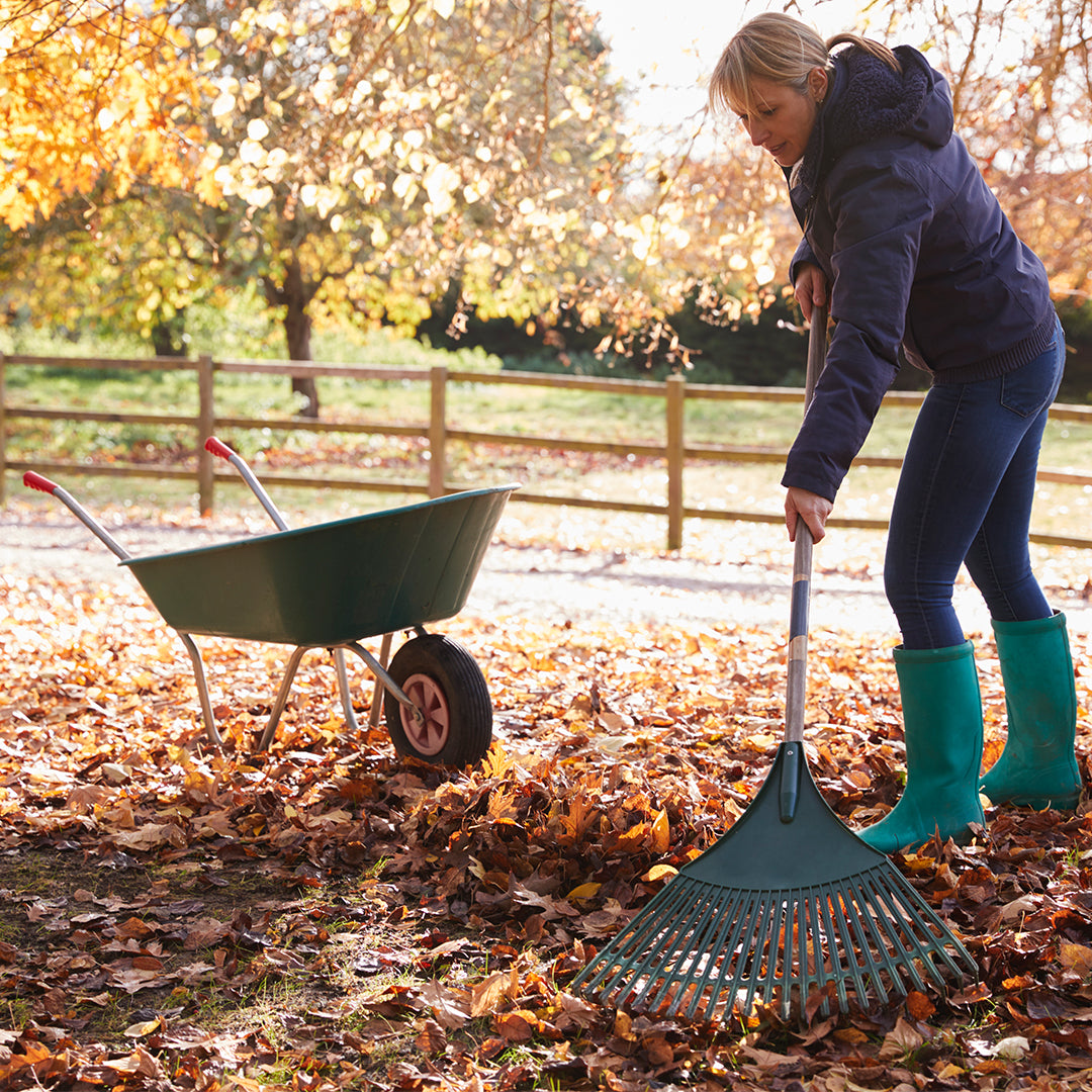 November Gardening Jobs List