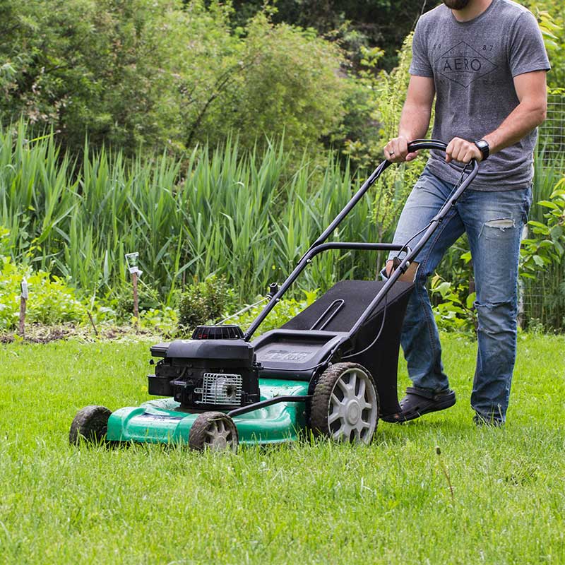 June Gardening Jobs - Mow the Lawn