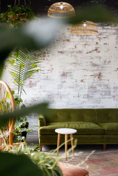 Green Velvet Couch With Multiple Pot Plants 