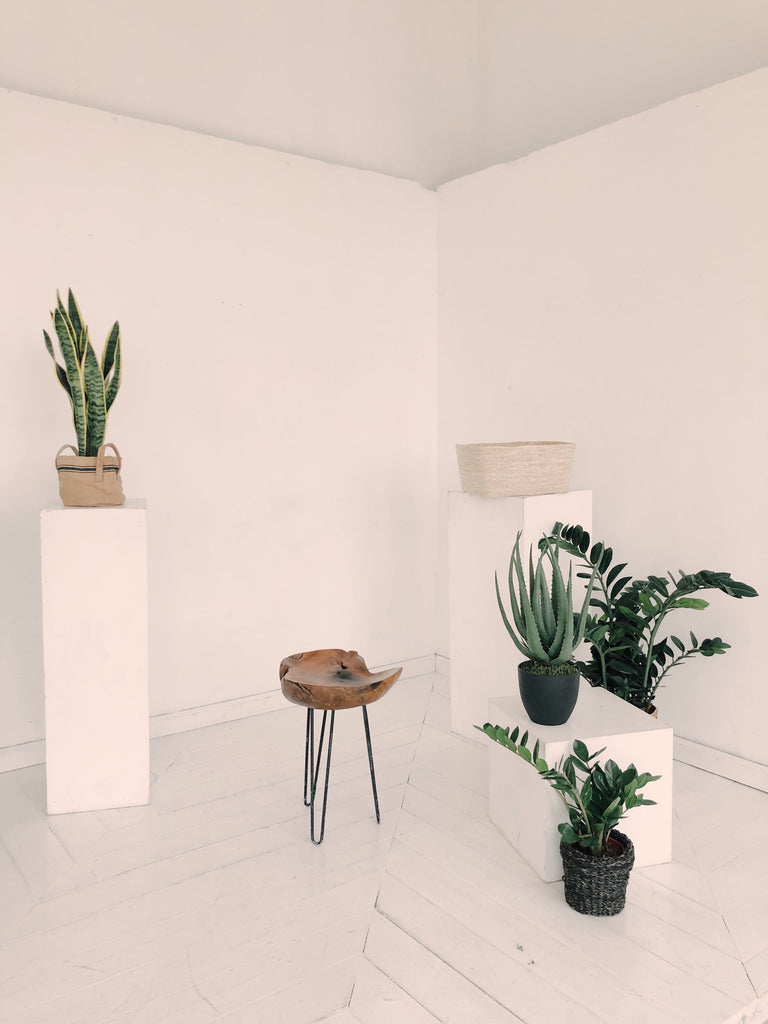 minimal plants