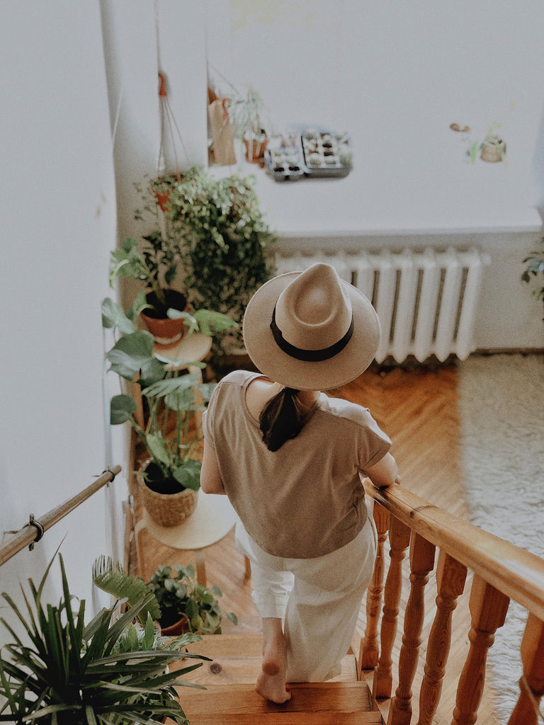 Plants on stairs