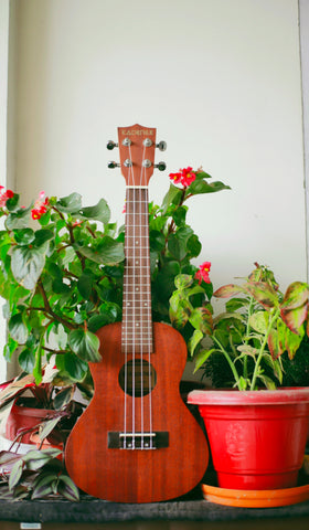 ukulele and plant pots