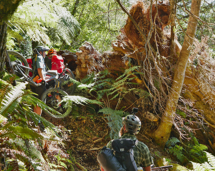 hauling bikes through the new zealand jungle