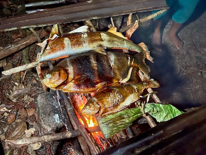fish cooking over a campfire