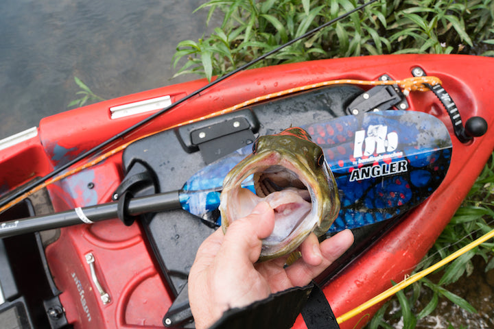 kayak bass fishing