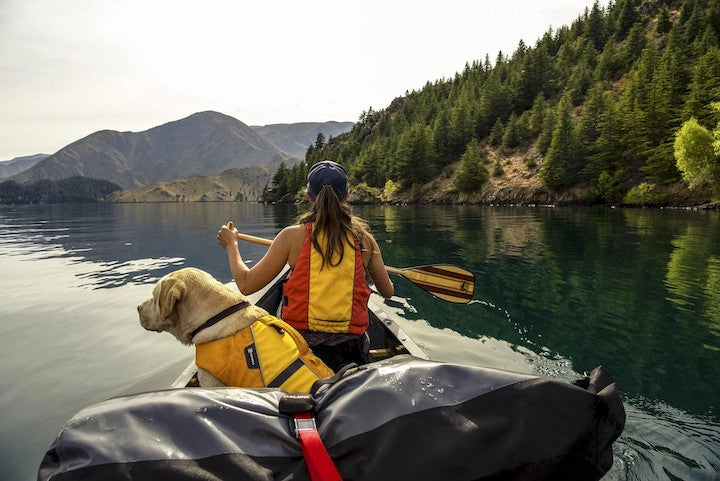 woman in canoe bow with big dog behind, on a mountain lake canoe trip