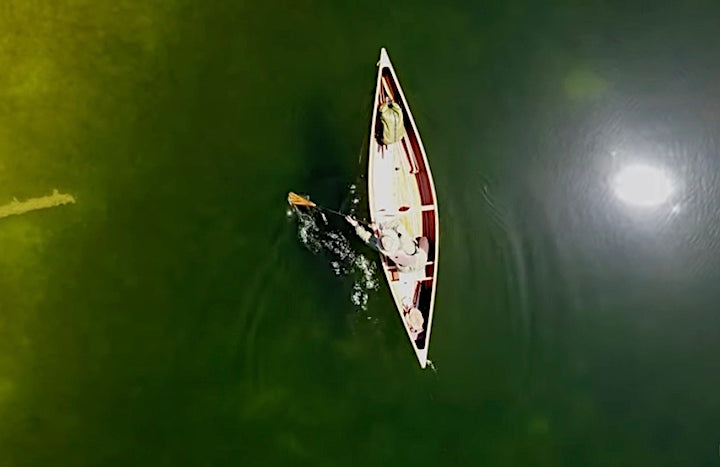 view of man in canoe from above