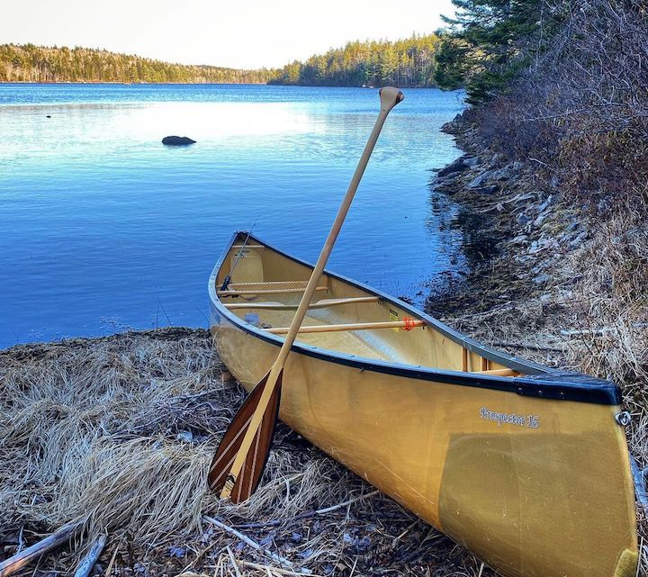 kevlar canoe with a Branches canoe paddle on a lakeshore