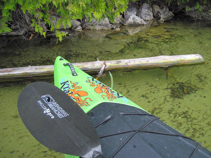 How to Choose the Right Paddle for Kayak Fishing – Bending Branches