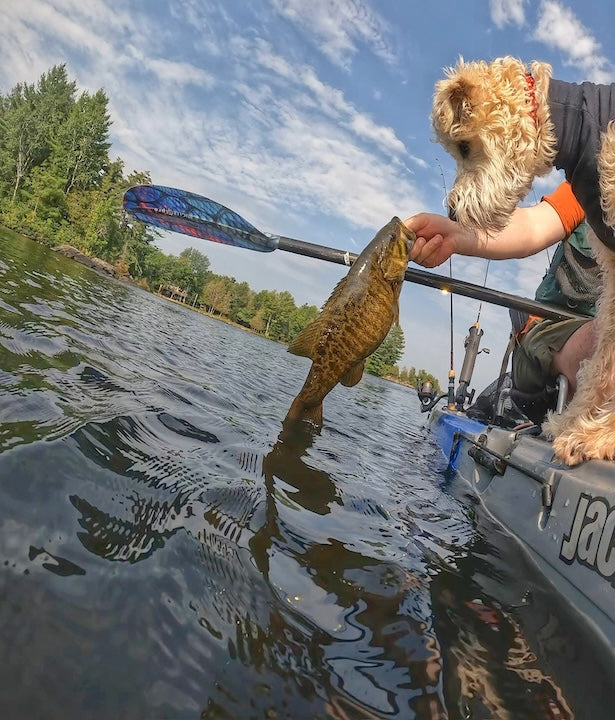 Frankie the dog checks out a fish