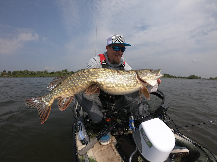 Dennis with a huge pike on the River Weser