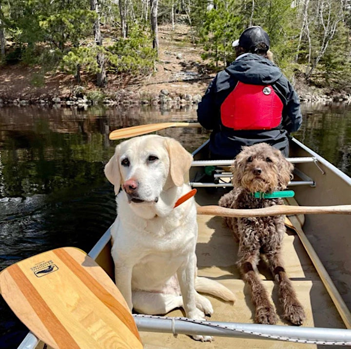 two dogs and canoeist in a canoe, Branches' BB Special paddle blade seen