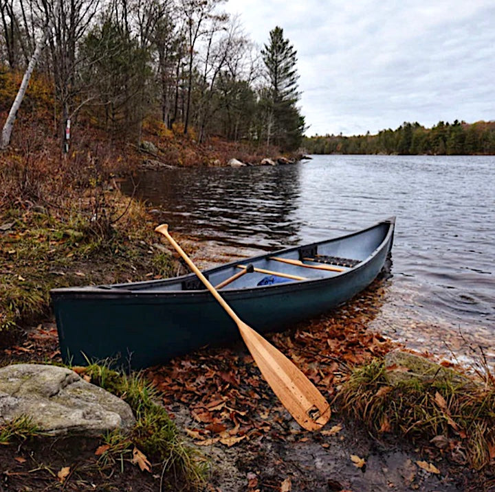 Branches' Beavertail canoe paddle resting on canoe, on a lake shore