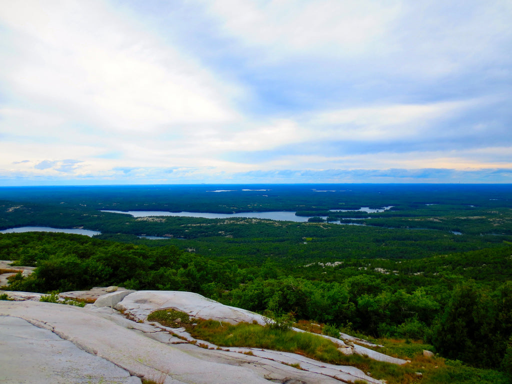 View from the top of Silver Peak in Killarney Provincial Park. In the distance, several lakes are visible in between pine trees. 
