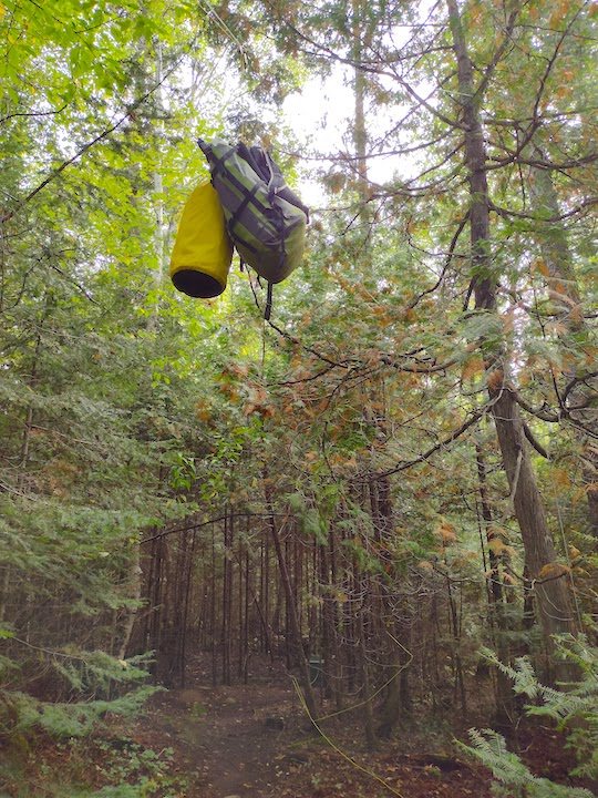 two food packs high off the ground in the woods