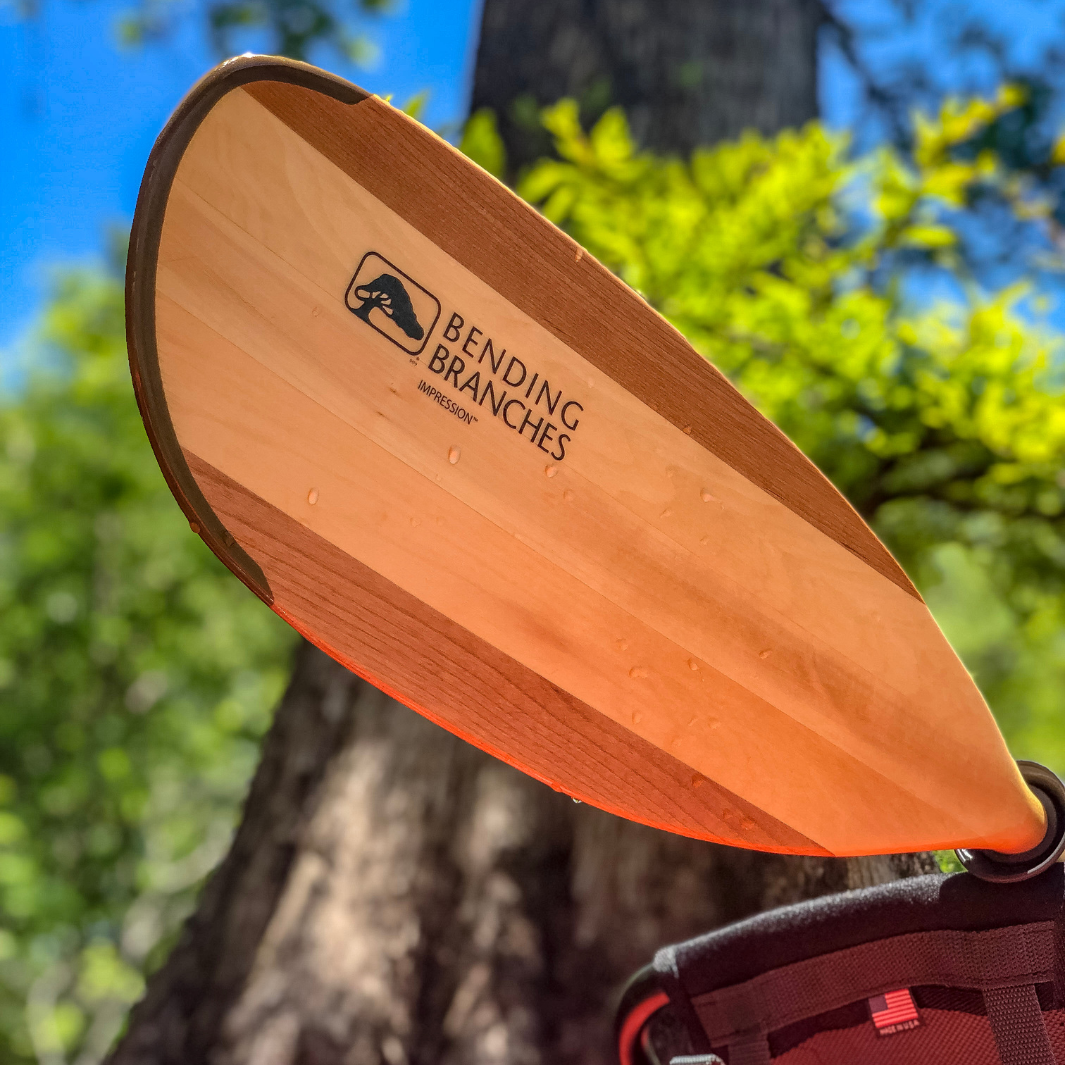 Kayak Paddles Bending Branches