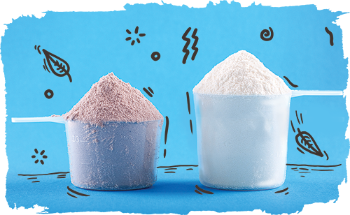 The Ultimate Guide to Protein Powder Scoops – KOS.com