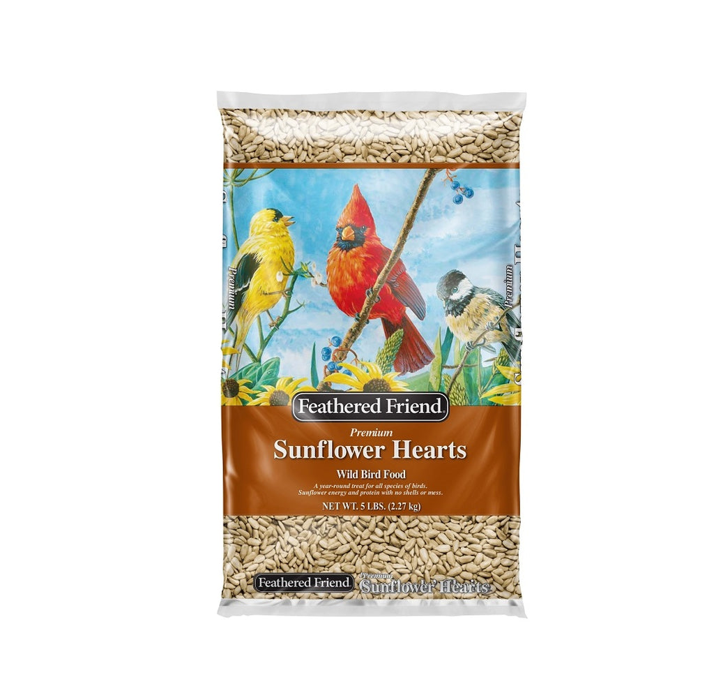 feathered friend sunflower hearts