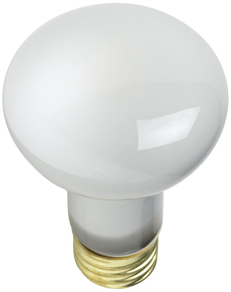Flood Light Bulb, 45 watt, shop outdoor lighting products ...