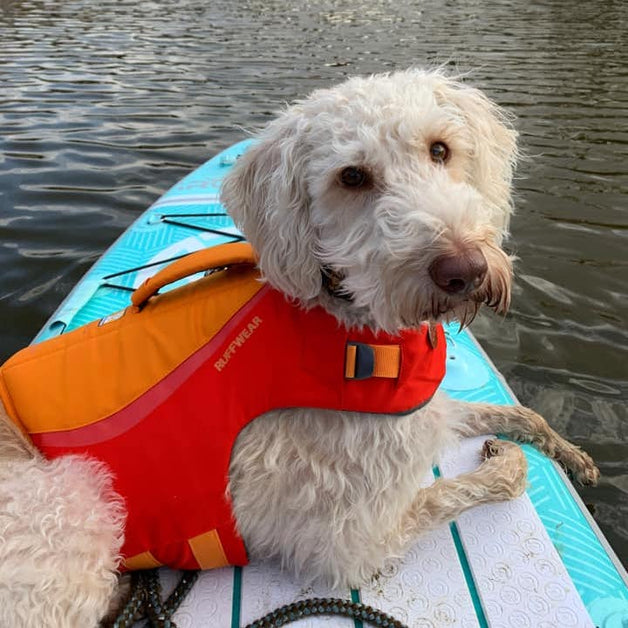 mti dog life jacket