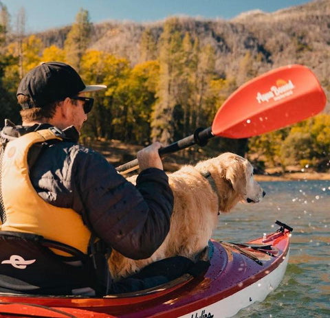 Dan and his dog kayak on Whiskeytown Lake with an Aqua Bound paddle