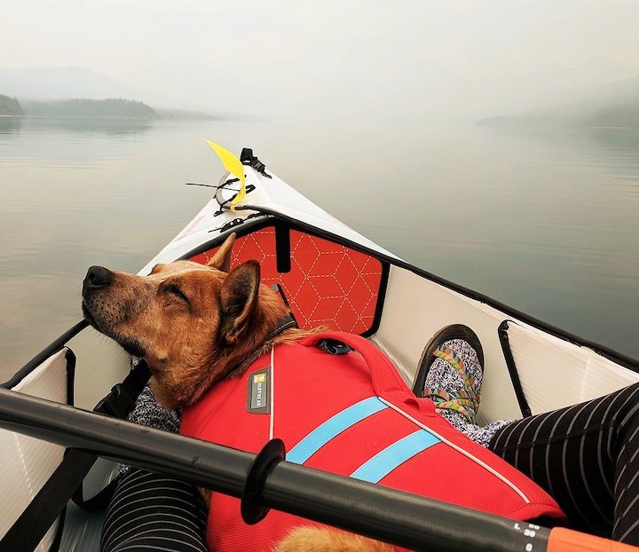 How to Kayak & SUP with Your Dog – Aqua Bound