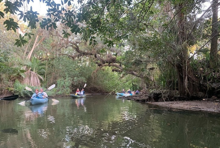 kayakers on the Estero River