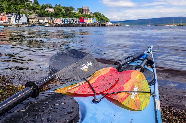 kayak bow with Aqua Bound kayak paddles; Scotland coast in background