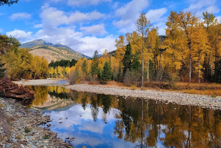 lovely river with reflection of trees and mountains