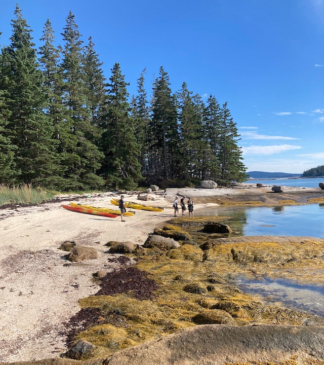 A group of kayakers pulls off on an island