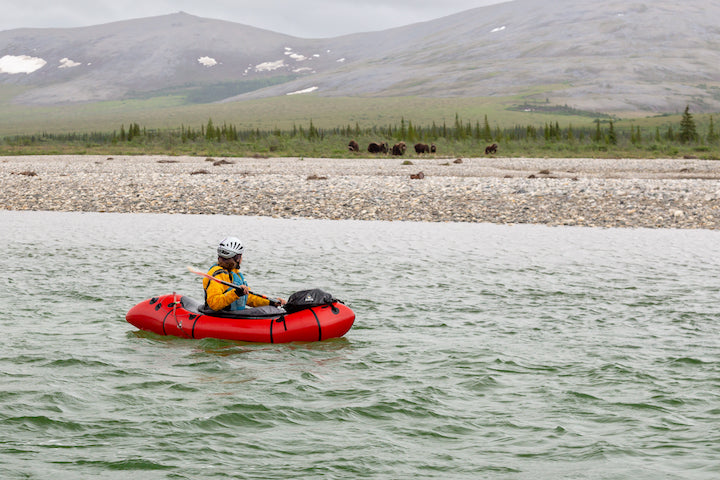 packrafter on artic river looks at musk oxen on the shore
