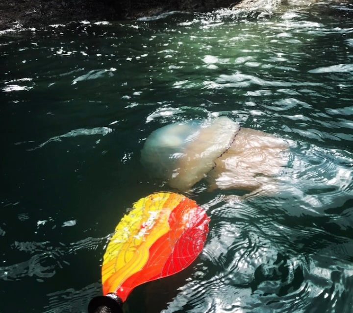 Aqua Bound paddle blade next to a jellyfish in the ocean