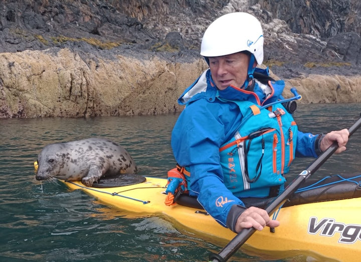 a small seal sits on the stern of a woman's sea kayak in the water