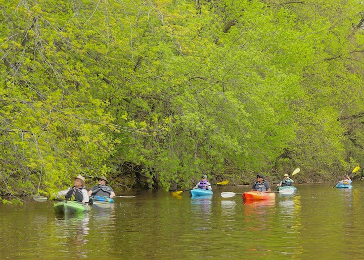 group of kayakers along the riverbank