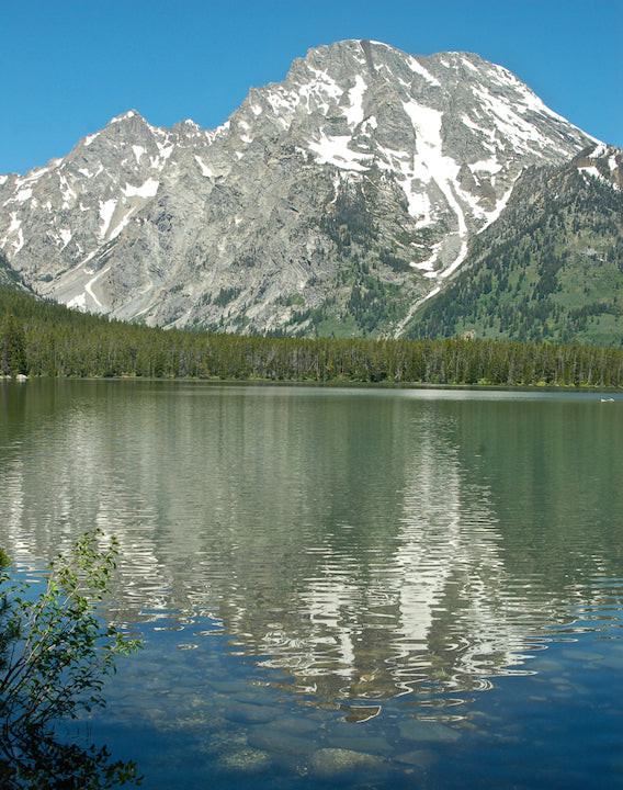 Leigh Lake with Mount Moran behind it