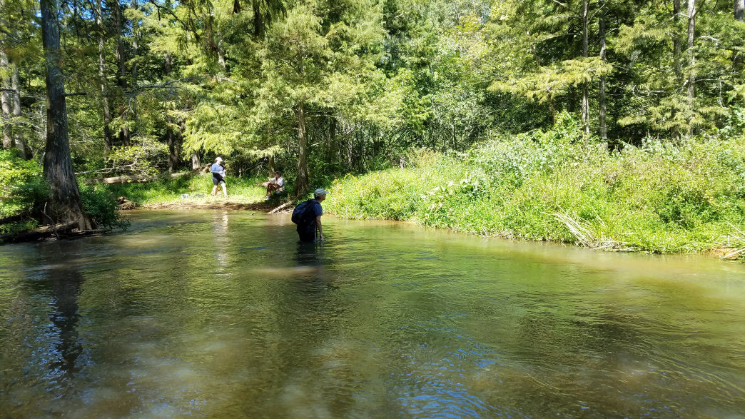 source of the Wolf River is in Holly Springs National Forest in Mississippi