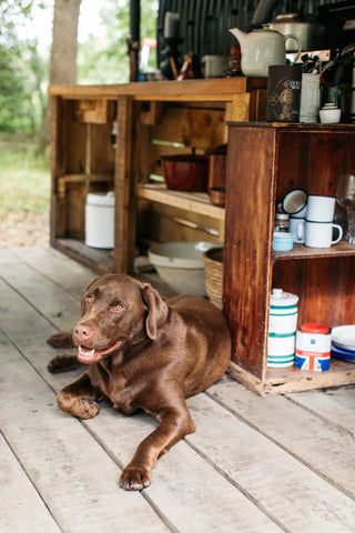 ancient brave glamping Sussex 