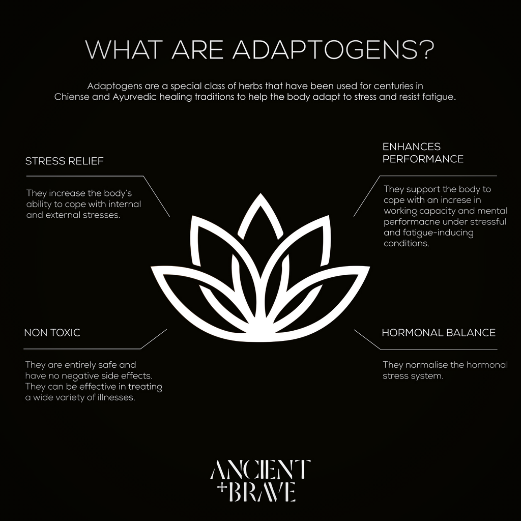 Infographic What are Adaptogens - Best Adaptogens for Stess, Stamina, and Strength
