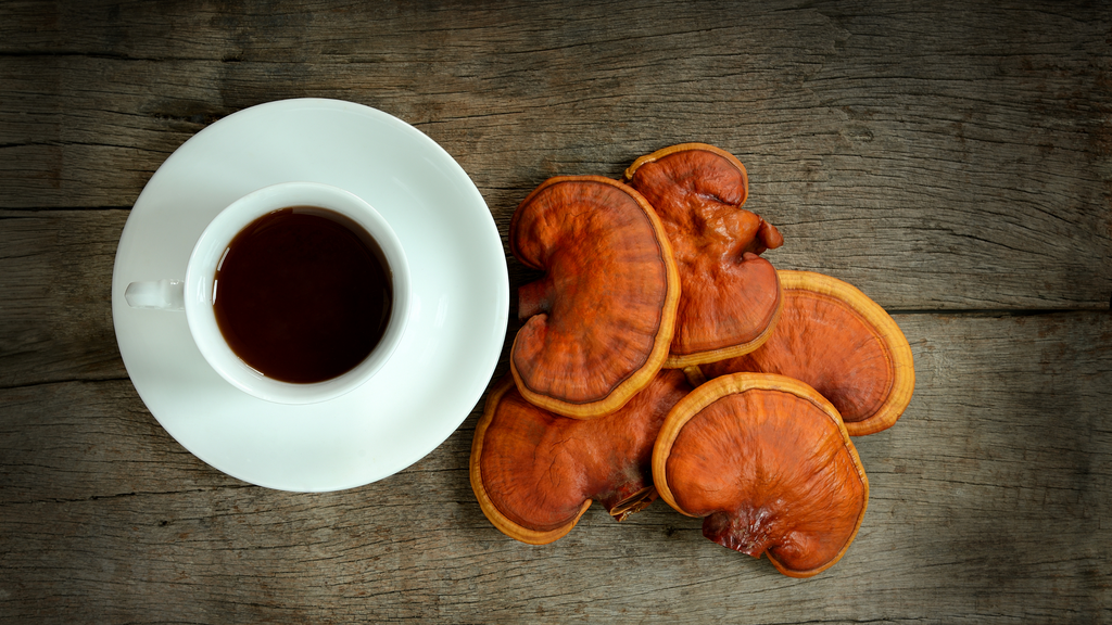 Reishi Mushroom - Best Adaptogens and Nootropics Guide for stress relief