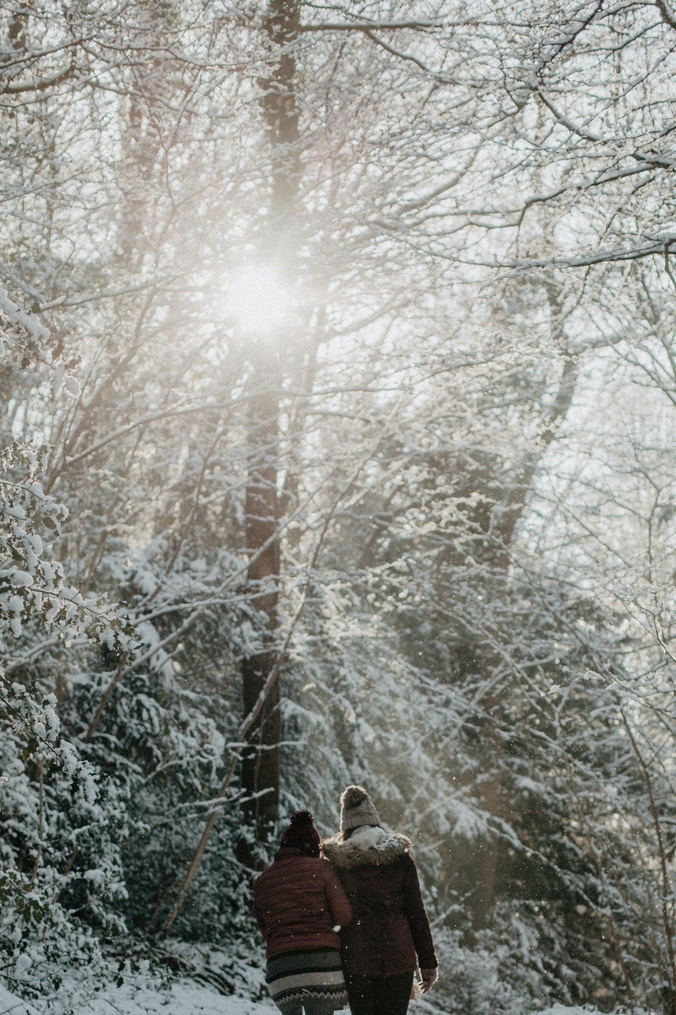 Couple walking in winter through the snow