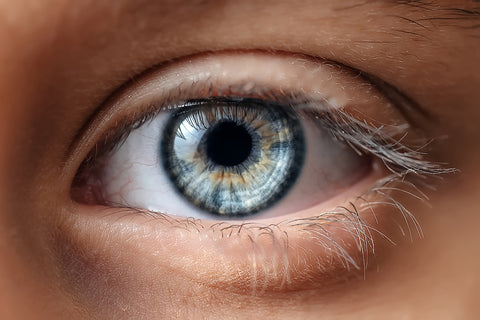 Astaxanthin Wirkung: Ein Auge