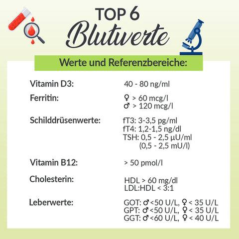 Infografik: Top 6 Blutwerte