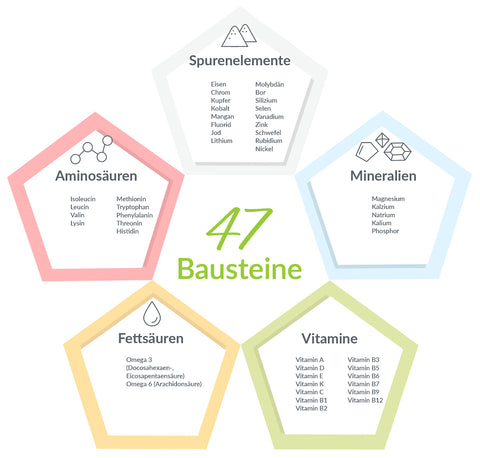 Infografik: 47 Bausteine der Ernährung