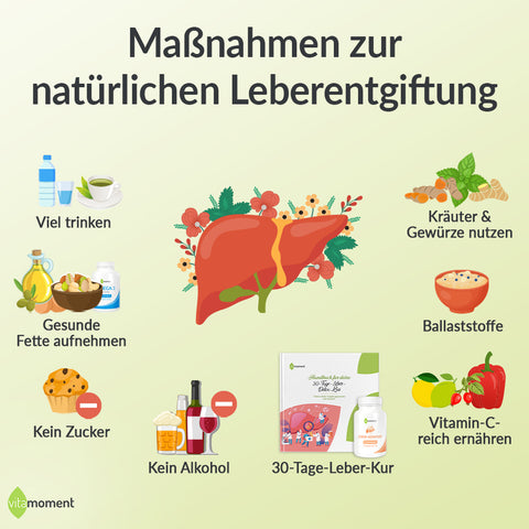 Fettleber Symptome Ursachen: Infografik Maßnahmen zur natürlichen Leberentgiftung