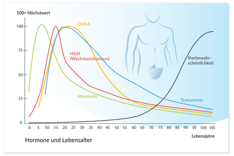 Eine Grafik, die zeigt, wie sich die Hormone in zunehmendem Alter bei Männern verhalten.  DHEA, HGH, Testosteron und Melatonin nehmen stetig ab.